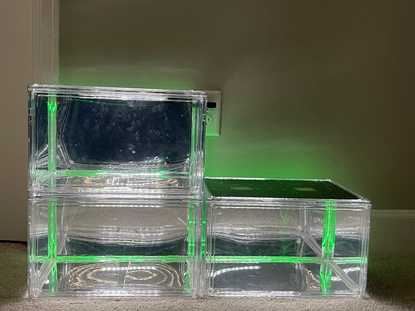Display Case