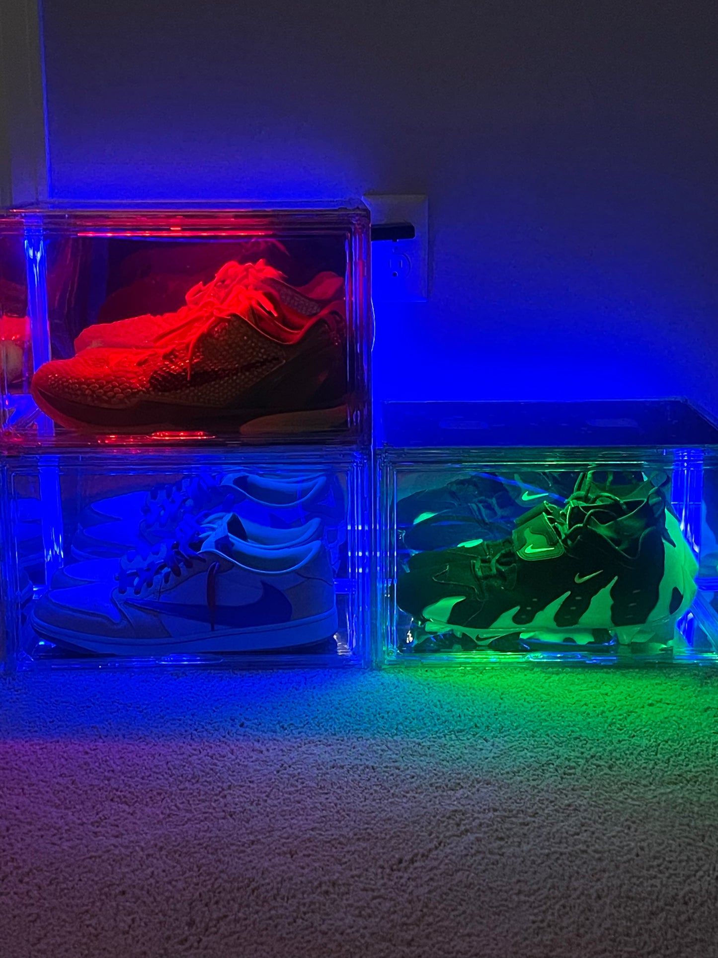 Display Case